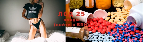 эйфоретик Аркадак