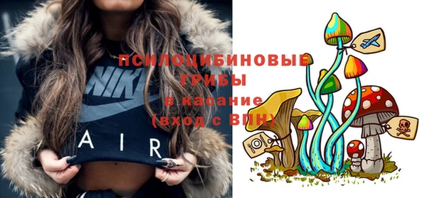 индика Алзамай