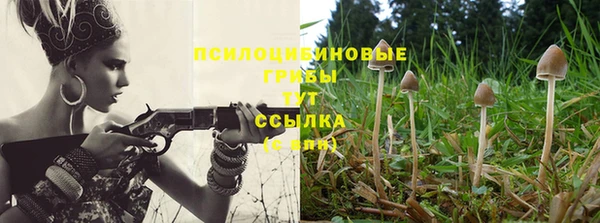 a pvp Армянск