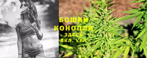 соль ск Богородицк