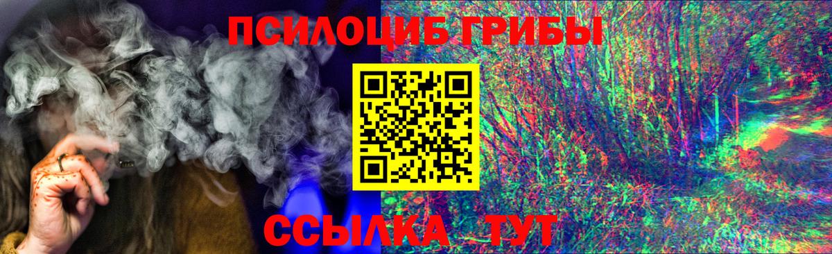 Галлюциногенные грибы Cubensis  Вход с VPN  Строитель 